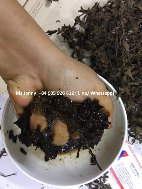 BEST PRICE AND QUALITY DRIED BLACK JELLY GRASS
