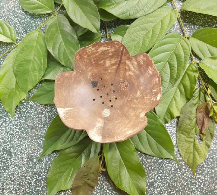 NATURAL COCONUT SHELL PLATE FROM VIETNAM