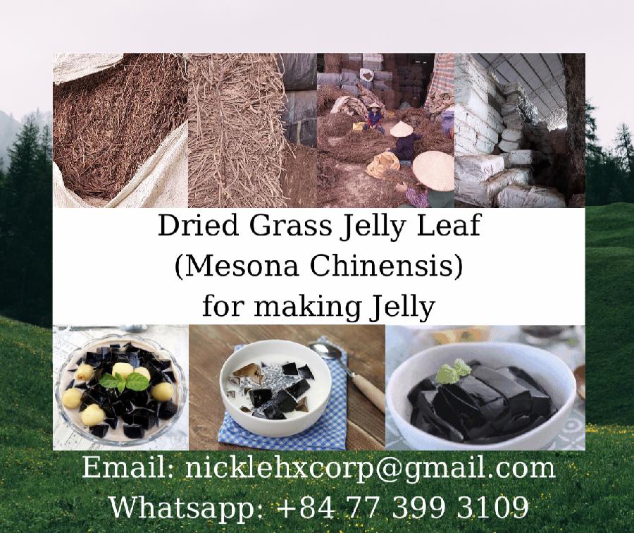 OFFER DRIED GRASS JELLY BEST PRICE