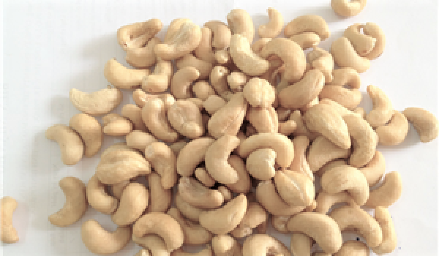 Vietnamese Cashew Nuts Kernels SW