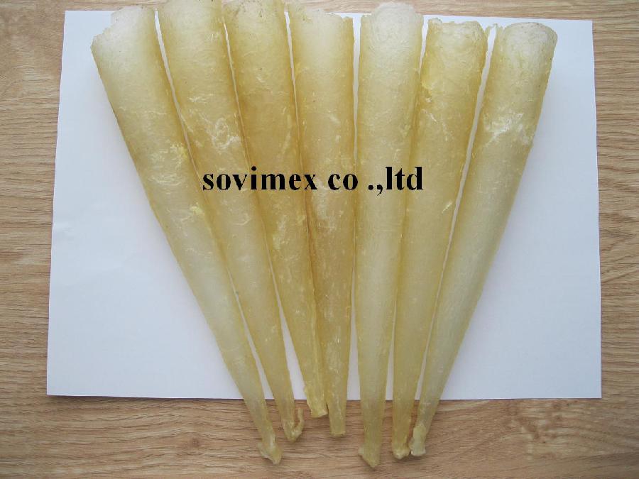 Sell the best quality pangasisus fish maw