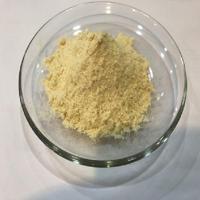 Manufacturer and exporter of Durian Powder
